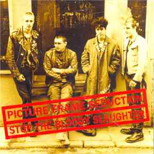 Picture Frame Seduction - Stop The Bloody Slaughter