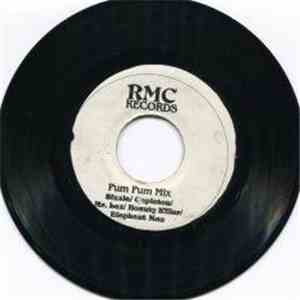 Sizzla / Capleton / Mr. Lex / Bounty Killer / Elephant Man - Pum Pum Mix
