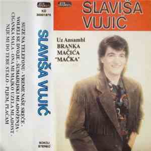 Slaviša Vujić Uz Ansambl Branka Mačića 