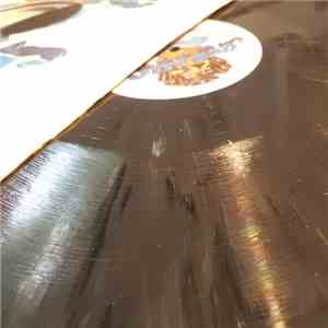 DXJ And The Bassonlians - Bass It Up