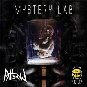 Pattern J - Mystery Lab
