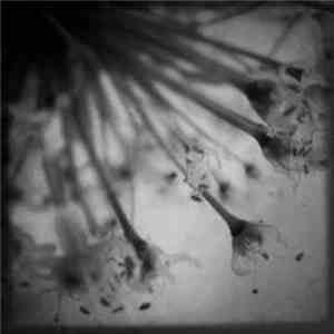 Field Rotation - Acoustic Tales