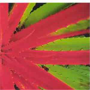 Jejune - This Afternoons Malady
