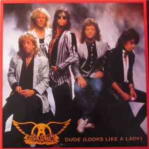 Aerosmith - Dude (Looks Like A Lady)