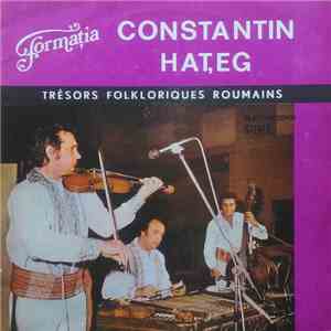 Formația Constantin Hațeg - Formația Constantin Hațeg