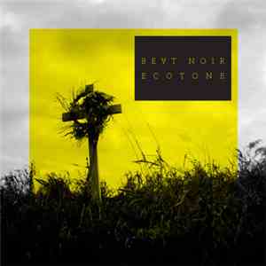 Beat Noir - Ecotone