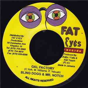 Bling Dogg & Mr. Notch / Robyn  & Lady Saw - Gal Factory / One Night Stand
