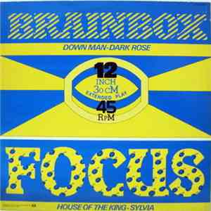 Focus  / Brainbox  - Untitled