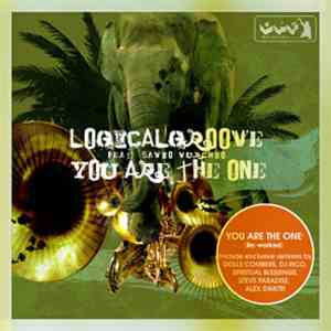 Logicalgroove Featuring Savio Vurchio - You Are The One (Re-Worked)