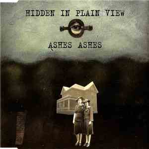 Hidden In Plain View - Ashes Ashes