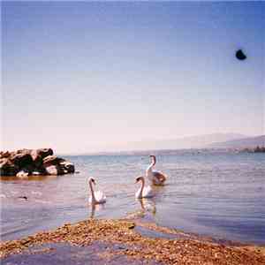 Coma Cinema -  Loss Memory
