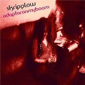 Skripglow - Adaptor On My Boom