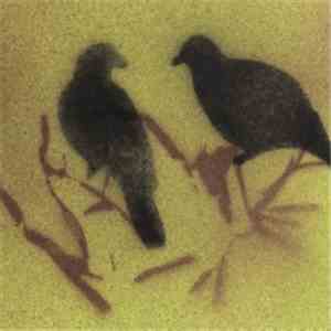 Celer - Para