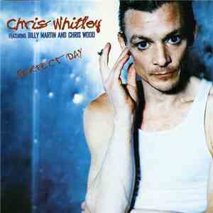 Chris Whitley Featuring Billy Martin And Chris Wood  - Perfect Day