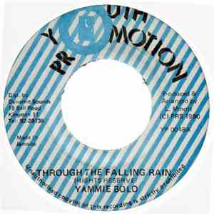 Yammie Bolo - Through The Falling Rain