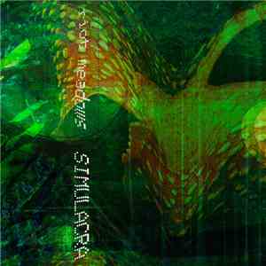 Riot Meadows - SIMULACRA