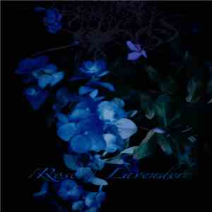 Sadness  - Rose / Lavender
