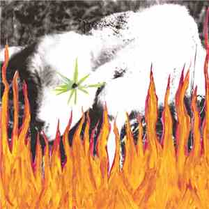 Arcane Rifles - Green Eyes Will Save You