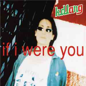 k.d.lang - If I Were You