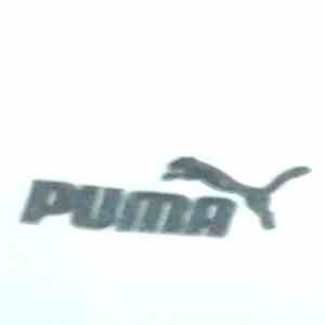 Surrogate Sigma - Puma