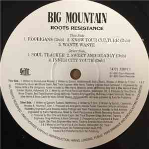 Big Mountain - Roots Resistance