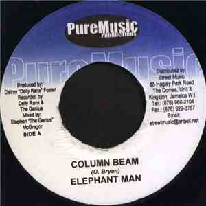 Elephant Man - Column Beam