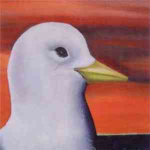 The Kittiwakes - Lofoten Calling Album Sampler