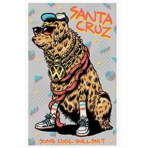 Santa Cruz  - Some Cool Bullshit