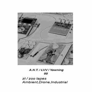 A.N.T. / LVV / Yawning - 00