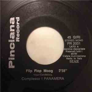 Complesso I Panamera - Flip Flop Moog