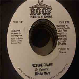 Ninja Man - Picture Frame