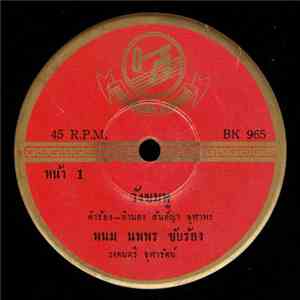 พนม นพพร / ลพ บุรีรัตน์ - วังชมพู / ฉันบอกว่าโน