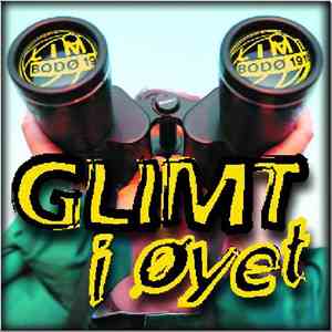 Various - Glimt I Øyet