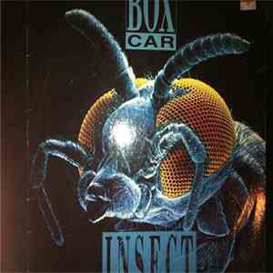 Boxcar - Insect