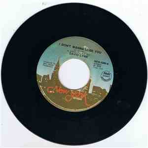 David Lyme - I Don't Wanna Lose You
