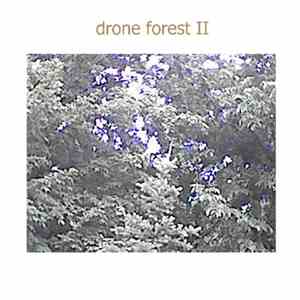 Drone Forest - Drone Forest II