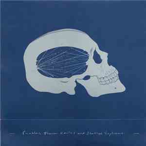 Enablers - Blown Realms And Stalled Explosions