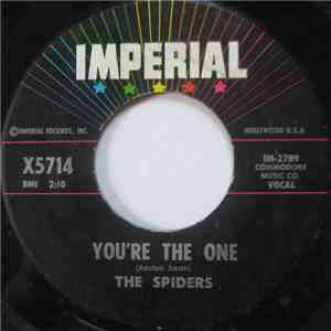 The Spiders  - You're The One / Tennessee Slim