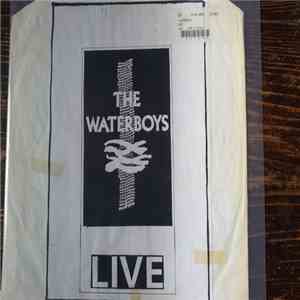 The Waterboys - Live