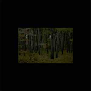 Rihmasto - Metsän Juurella