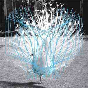 Valerio Tricoli / Thomas Ankersmit - Forma II
