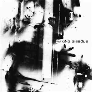 Waxing Gibbous - Waxing Gibbous
