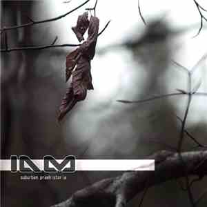 In A Mindset - Suburban Praehistoria