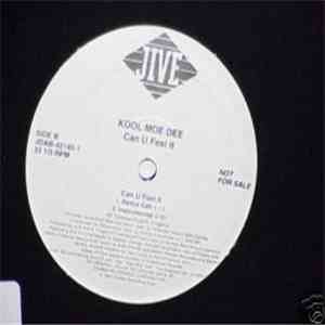 Kool Moe Dee - Can U Feel It