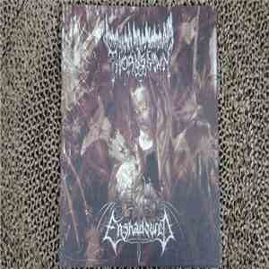 Thornspawn, Enshadowed - 6 Black Candles, 6 Rotting Hearts, 6 Sacrifices Fo ...