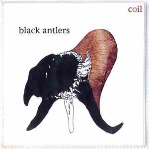 Coil - Black Antlers