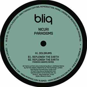 Nicuri - Paradigms