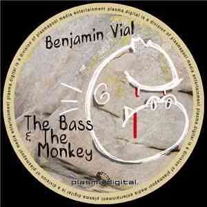 Benjamin Vial - The Bass & The Monkey