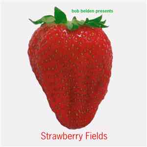 Various - Strawberry Fields (Bob Belden presents)