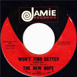 The New Hope - Won't Find Better (Than Me) / They Call It Love